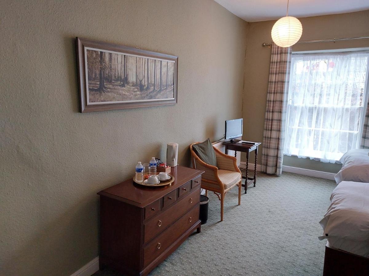 Hotel Lion *